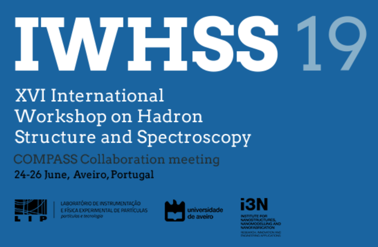 IWHSS19 logo